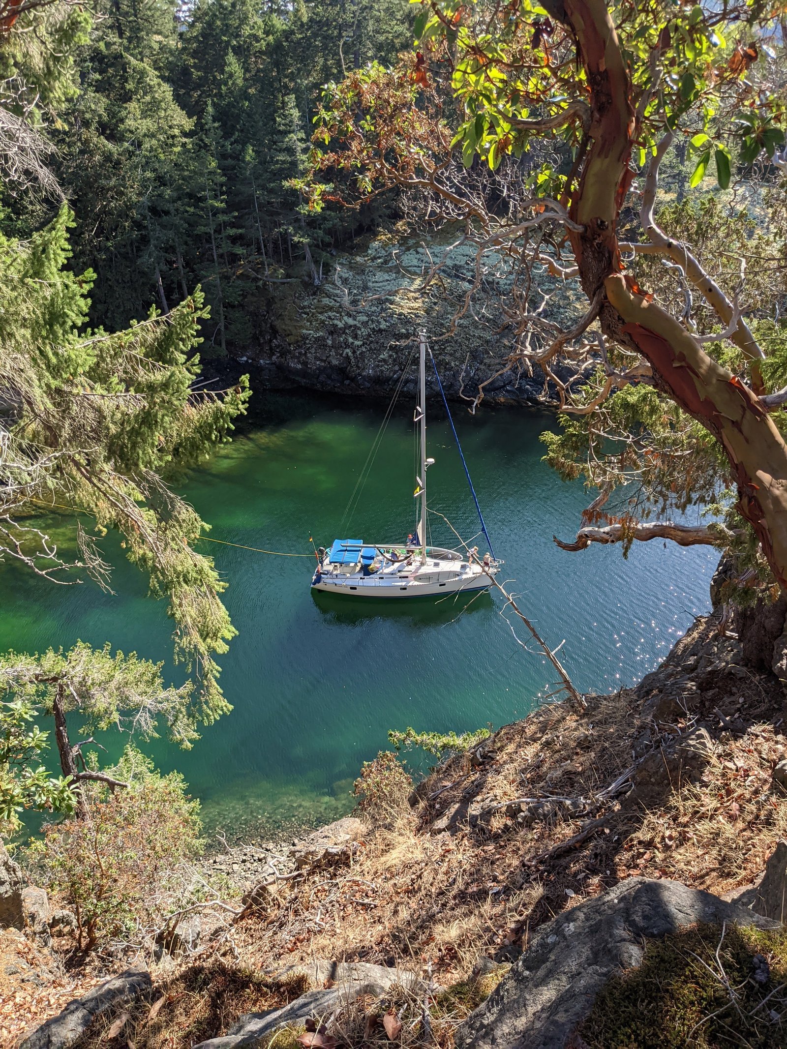 Beautiful BC sailing charter